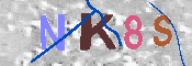 キャプチャ画像