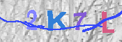 キャプチャ画像