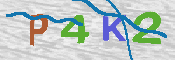 キャプチャ画像