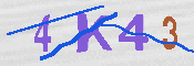 キャプチャ画像
