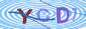 キャプチャ画像