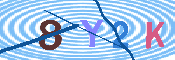キャプチャ画像