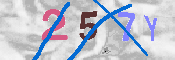 キャプチャ画像
