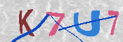 キャプチャ画像