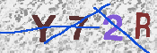 キャプチャ画像