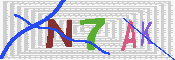 キャプチャ画像