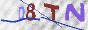 キャプチャ画像
