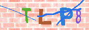 キャプチャ画像