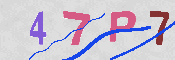 キャプチャ画像