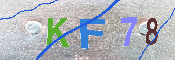 キャプチャ画像