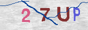 キャプチャ画像
