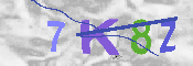 キャプチャ画像