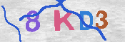 キャプチャ画像
