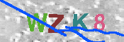 キャプチャ画像