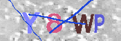 キャプチャ画像