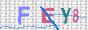 キャプチャ画像
