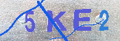 キャプチャ画像