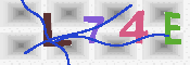 キャプチャ画像