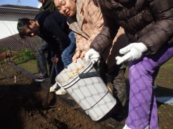 土作り②
