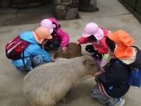 バイオパーク⑩