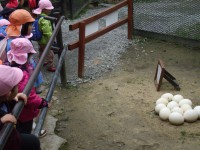 バイオパーク⑯