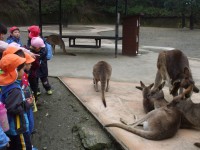 バイオパーク⑱