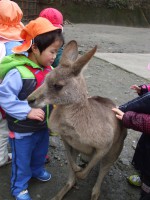 バイオパーク⑳