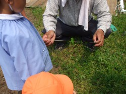 夏野菜苗植え⑫
