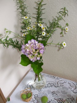 紫陽花①