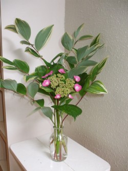 紫陽花②
