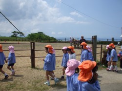 馬がいたよ！