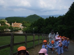丘をめざして・・・