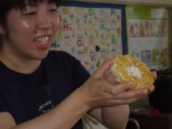 甘夏のゼリーを作ります