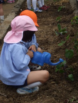 植えたあとは、水やり　「大きくなってねぇ～」