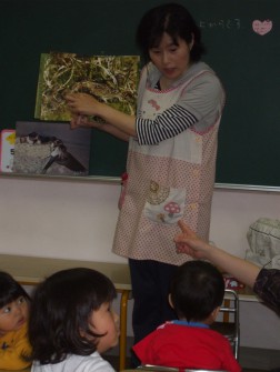 パピークラブ　いろんな鳥の写真を見ました