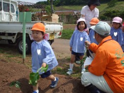 苗を一本もらって「ありがとうございます。」