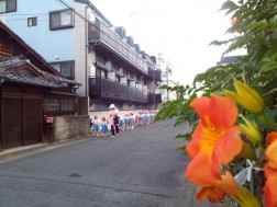 夏の花もきれいに咲いています