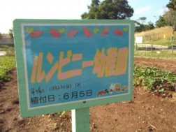 ここです！！