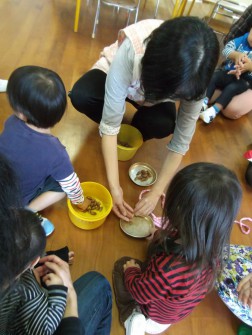 パピー　どんぐりのつかみ取り競争