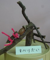 木の枝や木の実で②