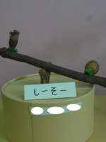 木の枝や木の実で③