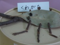 木の枝や木の実で⑤