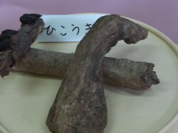 木の枝や木の実で⑦