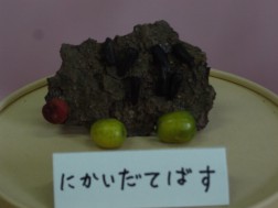 木の枝や木の実で⑩
