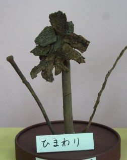 木の枝や木の実で⑨
