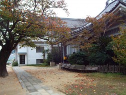 聖徳寺もすっかり秋のたたずまい