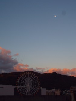 朝日を受けたきれいな雲が見えました