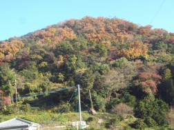 秋の景色⑥