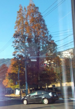 秋の景色⑦