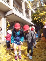 銀杏が降ってきた！⑤